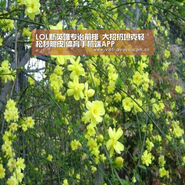 LOL新英雄专治前排 大招扔坦克轻松秒脆皮|体育手机端APP(图4) 爱游戏官网