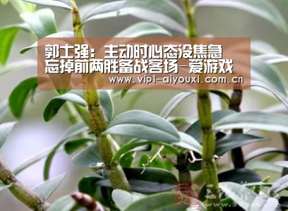 郭士强:主动时心态没焦急 忘掉前两胜备战客场-爱游戏体育(图4) 体育手机端APP