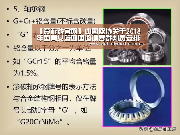 体育手机端APP