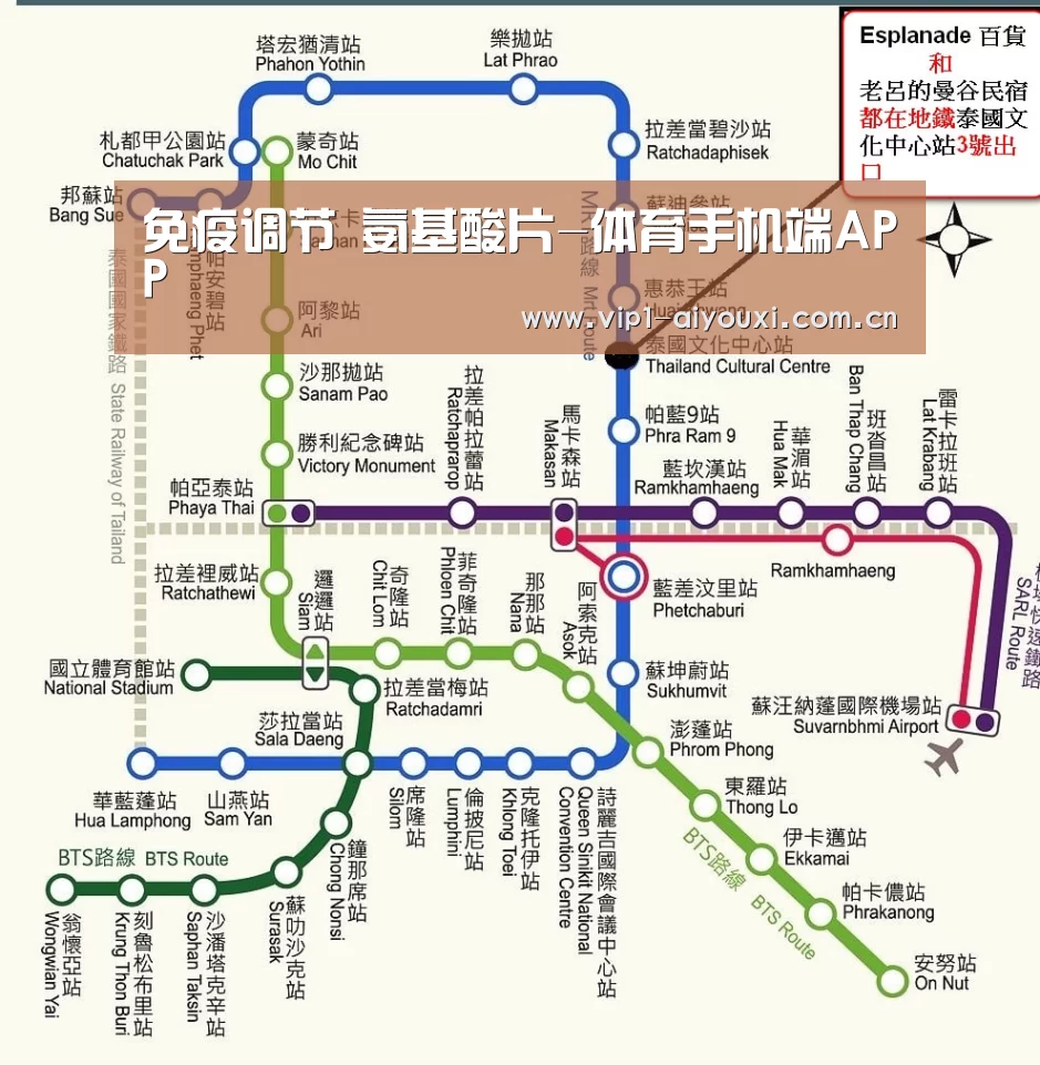 免疫调节 氨基酸片-体育手机端APP(图1) 爱游戏体育