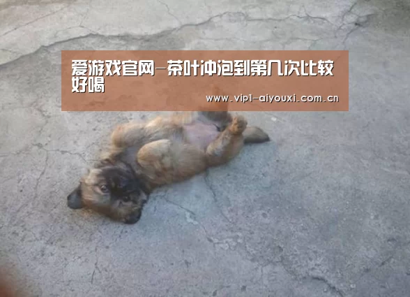 爱游戏官网-茶叶冲泡到第几次比较好喝(图1) 爱游戏官网